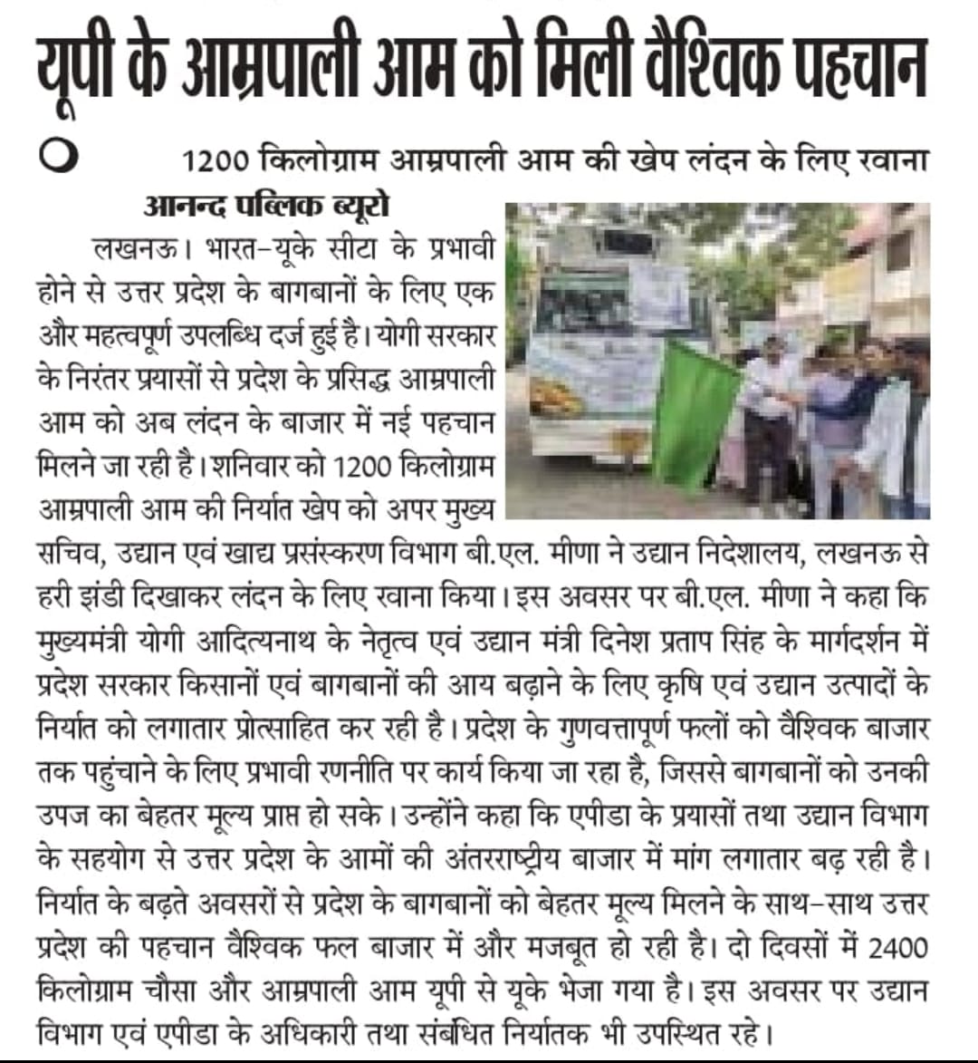 Media