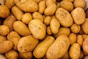 Potato